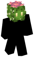 Skinfile