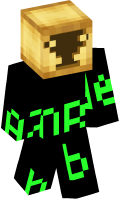 Skinfile