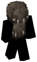 Skinfile