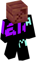 Skinfile