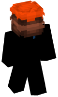 Skinfile