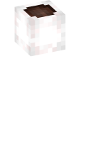 Skinfile