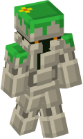 Skinfile
