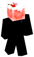 Skinfile