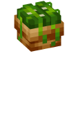Skinfile
