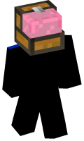Skinfile