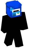 Skinfile