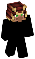 Skinfile