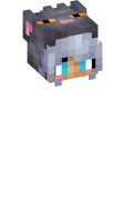 Skinfile