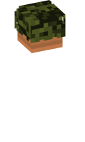 Skinfile