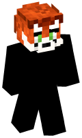 Skinfile