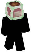 Skinfile