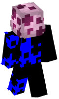 Skinfile