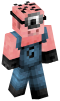 Skinfile