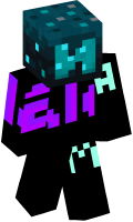 Skinfile
