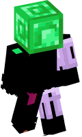 Skinfile