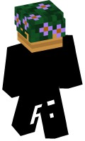 Skinfile