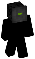 Skinfile