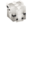 Skinfile