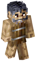 Skinfile