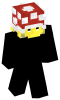 Skinfile