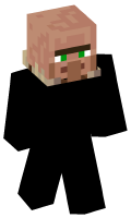 Skinfile