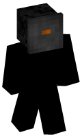 Skinfile