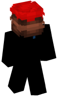 Skinfile