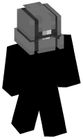 Skinfile