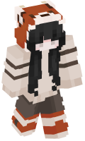 Skinfile