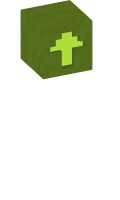 Skinfile