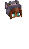 Skinfile