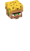 Skinfile