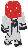 Skinfile