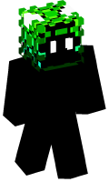 Skinfile