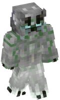 Skinfile
