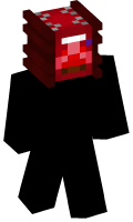 Skinfile