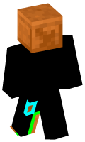 Skinfile