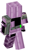 Skinfile