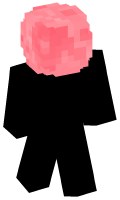 Skinfile