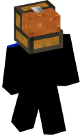 Skinfile