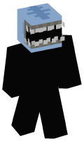 Skinfile