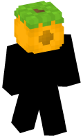 Skinfile