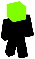 Skinfile