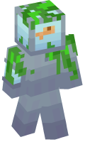 Skinfile