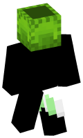 Skinfile