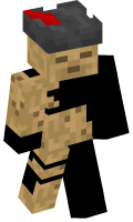 Skinfile
