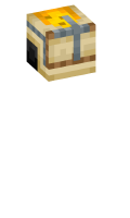 Skinfile