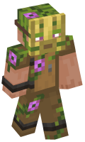 Skinfile