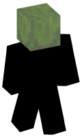 Skinfile